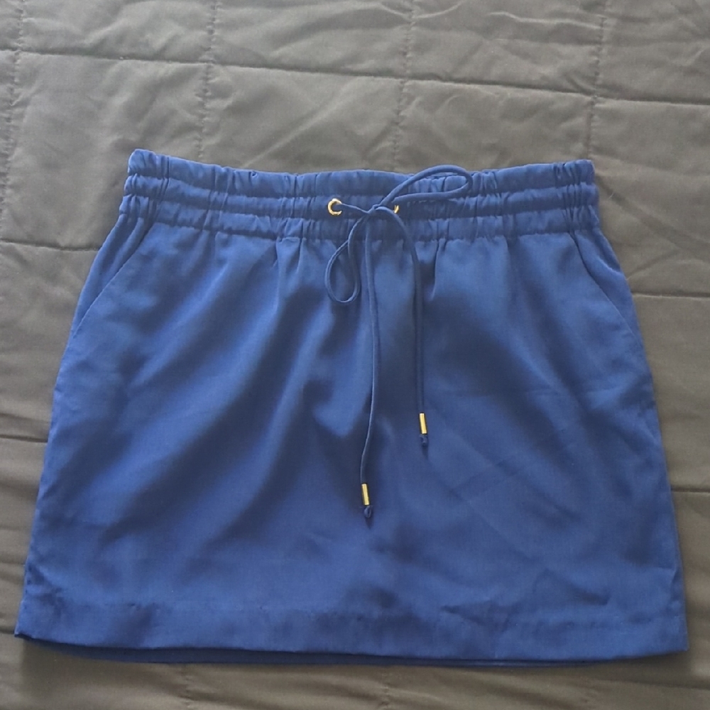 Express Royal Blue Mini Skirt